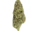 green crack seeds