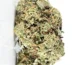 hulk weed strain