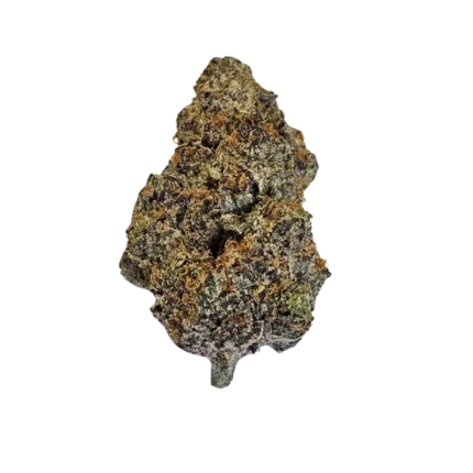 purple og strain