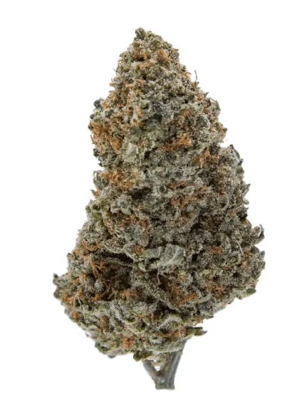 strawberry cough strain