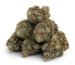 Buy OG Kush Online in the UK – Get Premium Quality at Cafe420Distro.com